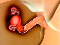FEMALE Gynecology FEMALE Gynecology