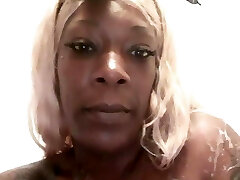 Solo Hershey bathing in tub Solo Hershey bathing in tub