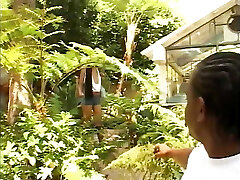 Sexy black chick gets her shaved pussy and tight butthole licked Sexy black chick gets her shaved pussy and tight butthole licked