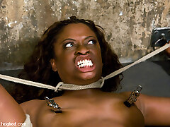 Monique in HogTied Welcome Sexy Milf Monique For Her First Xxx Restrain Bondage Experience. - HogTied