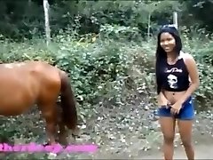 pissaa ja hevonen