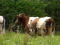 Viola Extraordinary - Extraordinary Number 3 - Indecent Dolls Viola Extraordinary - Extraordinary Number 3 - Indecent Dolls