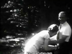Stunning Bitch Has Joy in the Forest (1930s Vintage)