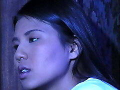 Asian Shan Asian Shan