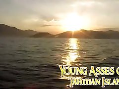 Young Asses of Tahtian Island Young Asses of Tahtian Island