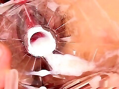 Hairy vulva Rin massive dildo insertion