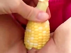 Friederike veggie insertion