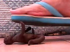 Zombie crushed under giantess nurse Foot &amp; flip flops