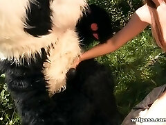 Dark Brown poke in the woods toy panda Dark Brown poke in the woods toy panda