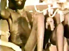 Historica Dark-hued Cock 1977 Historica Dark-hued Cock 1977