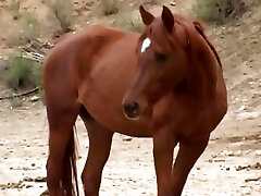 POV squirt alert - Episode #Legal POV squirt alert - Episode #Legal