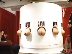 Asian butts sticking out of gloryholes