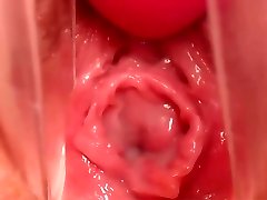 임신 Pussy-내부 보기