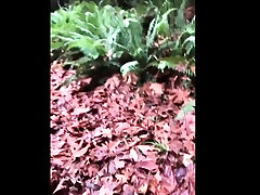 sara underwood nude moss shoot videos leaked