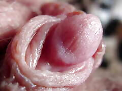 Extreme abg smk amal mulia Pulsating Huge Clitoris FULL VIDEO