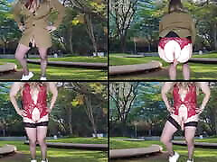 Big dick shemale public dick flash