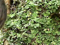 TRANSGENDER PARADISE Vol.2 - Episode 15 TRANSGENDER PARADISE Vol.2 - Episode 15