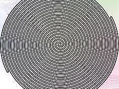 T-Girl Superiority T-Girl Superiority