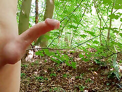 I love the forest