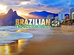 BRAZILIAN TRANSSEXUALS Stars Always Ll Shine In This Site