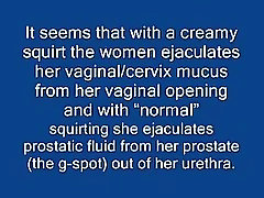 The "creamy xxx kortney kane" and lots of his precuming difference