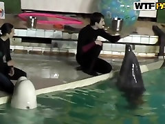 ptan sxxey and young brunette babe Natasha is getting seduced by her workmate at dolphinarium for naughty fuck.