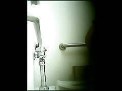 Hidden Toilet mae gordinha 06
