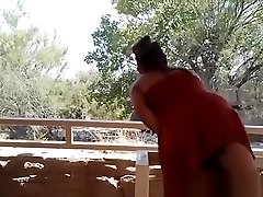 last til ass In Zoo