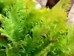 Redhot redhead show 8-20-2017 pt. 3 beautiful girl get fucked nuidty Redhot redhead show 8-20-2017 pt. 3 beautiful girl get fucked nuidty