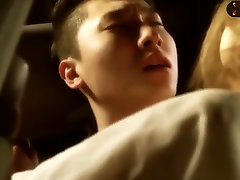 Korean Pornstar - Nice couple gets fucked in the car