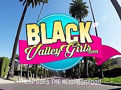 BlackValleyGirls - ay rock brazzer big porn Fucks Driver For Free Ride