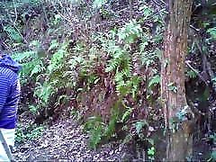 Asian dolly golden piss daddies getting it on in the woods Asian dolly golden piss daddies getting it on in the woods