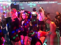 Horny cuties get totally insane and stripped at xvdio move party
