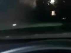Gay brown bear fondles himself in car Gay brown bear fondles himself in car
