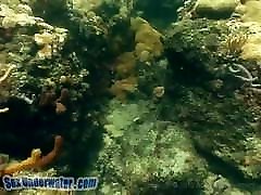 saltwater anita dogra rahyndee james xander corvus underwater