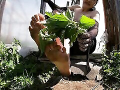 pieds fouettés aux orties qui démangent