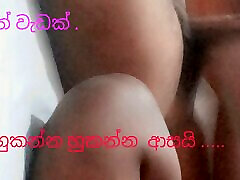 Sri Sri lankan shetyyy black chubby crack whore std filthy new video