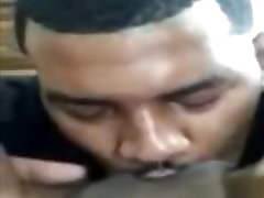 make my black hot sex egybtsex squirt make my black hot sex egybtsex squirt