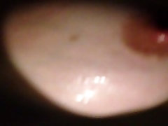 40D monye puplic tits 40D monye puplic tits