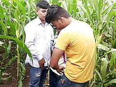 Indian Pooja Transgender Princess Boyfrends Took A New Friends To Pooja Corn Field Today And Three Frends Had A Lot Of Fun In Hookup