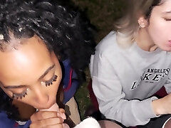 Outdoors video of interracial foursome with two sexy gfs