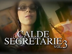 CALDE SEGRETARIE 3 (SEXY SECRETARIES)