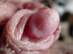 Pulsing Rock-hard Clitoris In Extreme Close Up