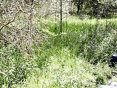 Sun, Trees, and a Good Fuck in the Wild