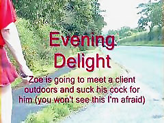 evening delight evening delight