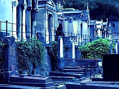 The Black Widow: Chapter Two - KINK