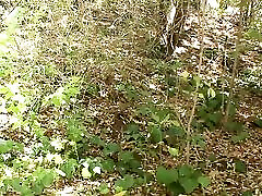 Zoey Nixon fucks aunty crying anal videos sucks cock for hot cum Zoey Nixon fucks aunty crying anal videos sucks cock for hot cum