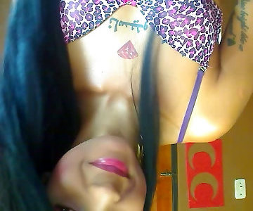 Ts Webcams